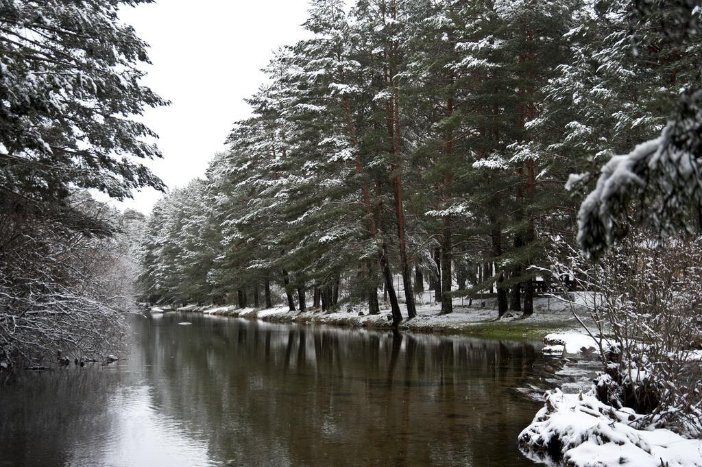 Casa Rural La Vereilla Barajas de Gredos Exteriér fotografie
