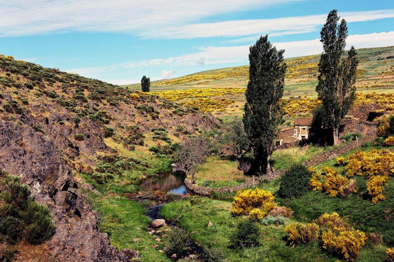 Casa Rural La Vereilla Barajas de Gredos Exteriér fotografie